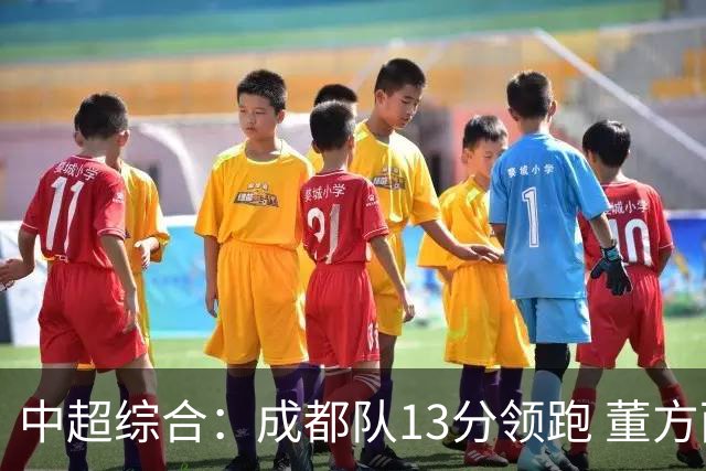 中超综合：成都队13分领跑 董方雨二度“主哨”
