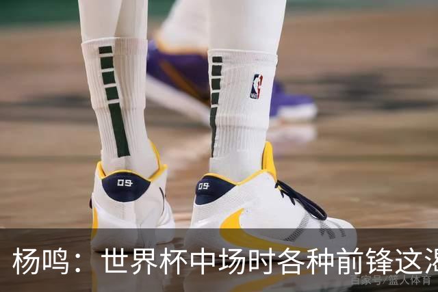 杨鸣：世界杯中场时各种前锋这渴了那饿了全来了 谁能记住后卫呢
